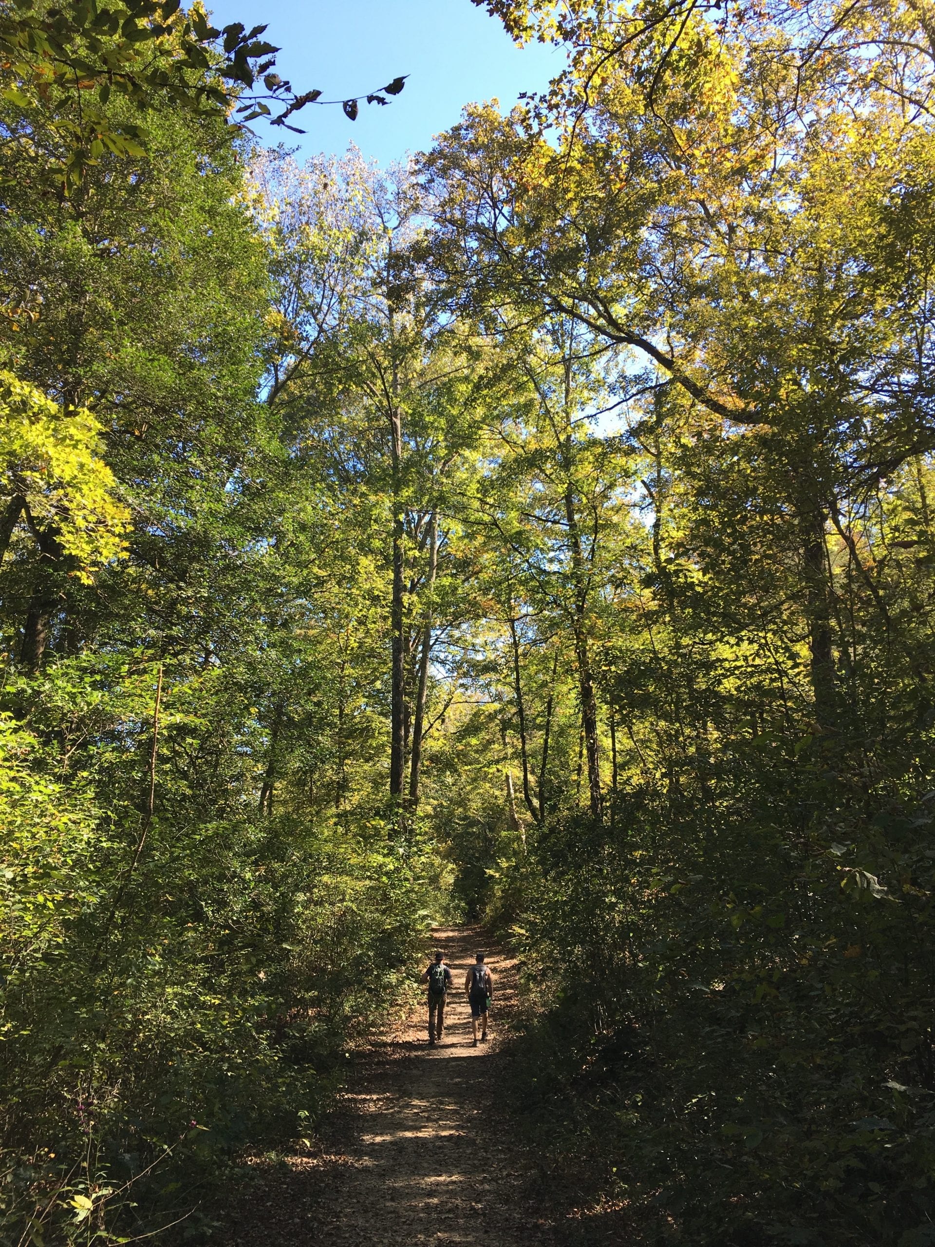 Climate Adaptation Planning Two people walking in forrest
